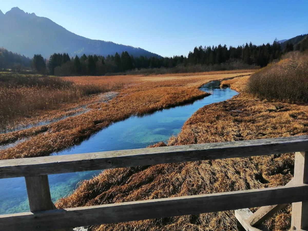 Apartments Podkoren 82 Kranjska Gora Eksteriør bilde
