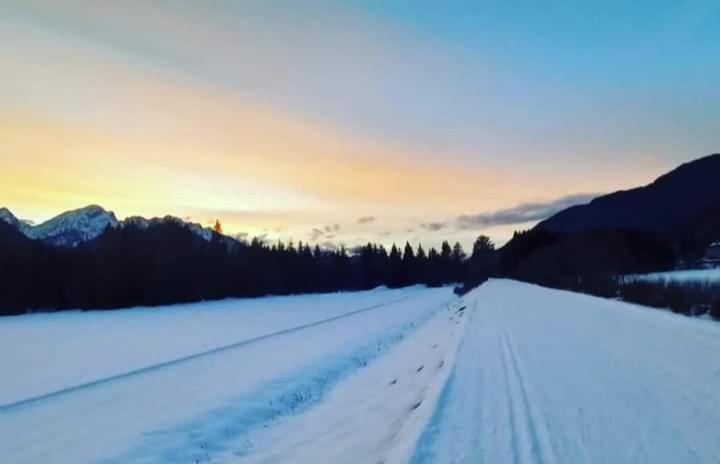 Apartments Podkoren 82 Kranjska Gora Eksteriør bilde
