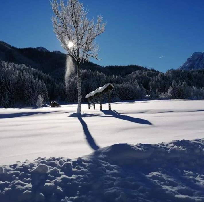 Apartments Podkoren 82 Kranjska Gora Eksteriør bilde