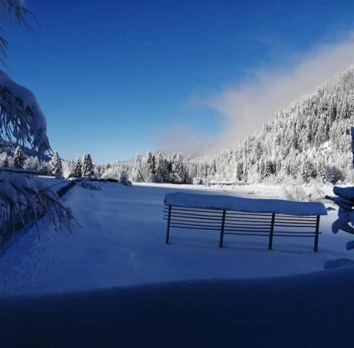 Apartments Podkoren 82 Kranjska Gora Eksteriør bilde
