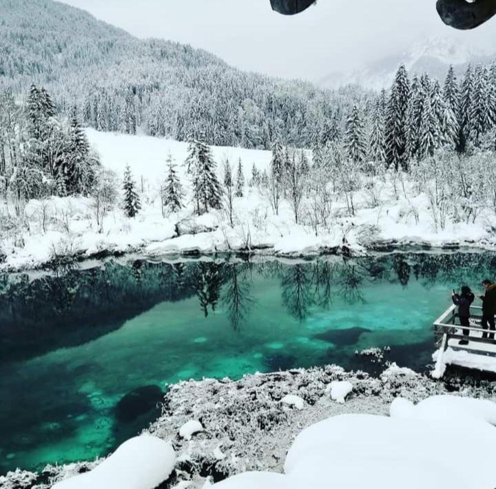 Apartments Podkoren 82 Kranjska Gora Eksteriør bilde